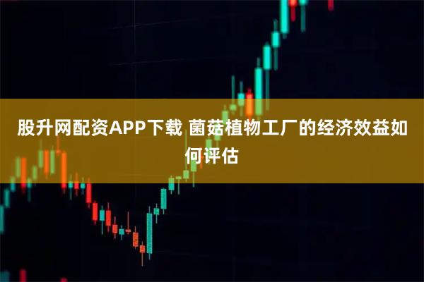 股升网配资APP下载 菌菇植物工厂的经济效益如何评估