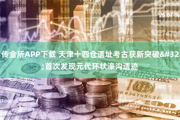 传金所APP下载 天津十四仓遗址考古获新突破 首次发现元代环状濠沟遗迹