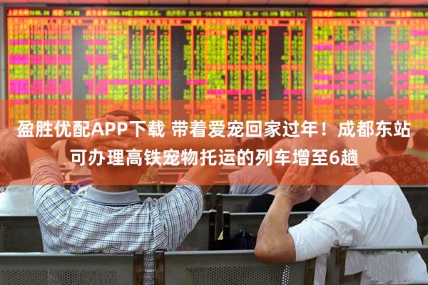 盈胜优配APP下载 带着爱宠回家过年！成都东站可办理高铁宠物托运的列车增至6趟