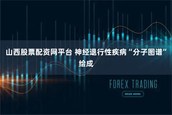 山西股票配资网平台 神经退行性疾病“分子图谱”绘成